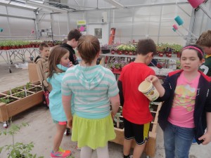 caring for our plants