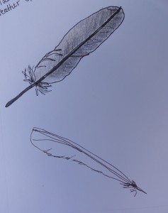feathers 